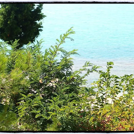 Appartement Thanasis *